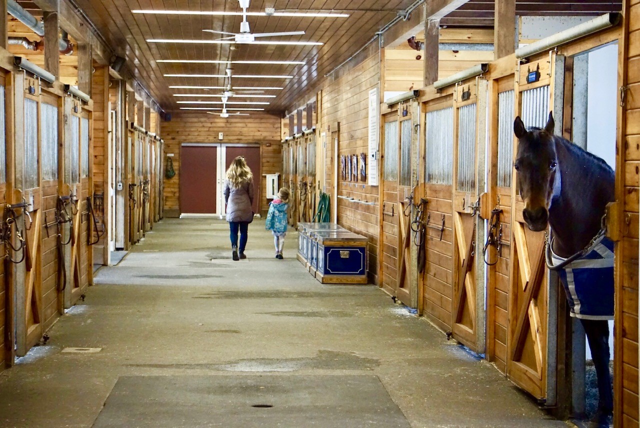 equestrian center
