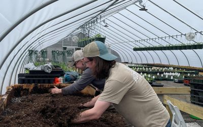 grounds department greenhouse at pineland farms