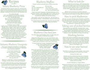 pick your own maine blueberries at the pineland farms produce division recipes and preserves.