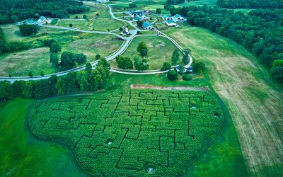 Pineland Farms Corn Maze &#038; Pumpkin Patch