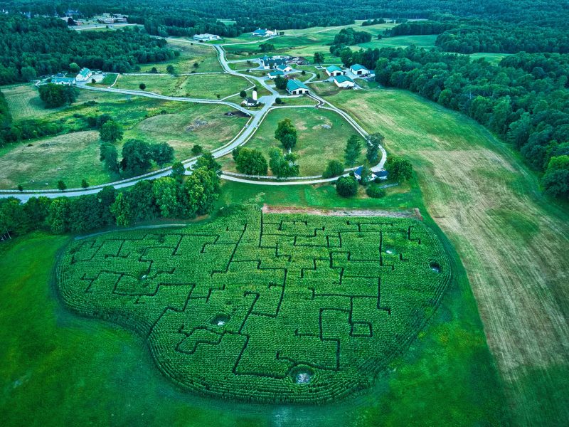 Aerial view of the corn maze.