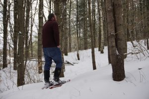 Snow shoeing at Pineland Farms