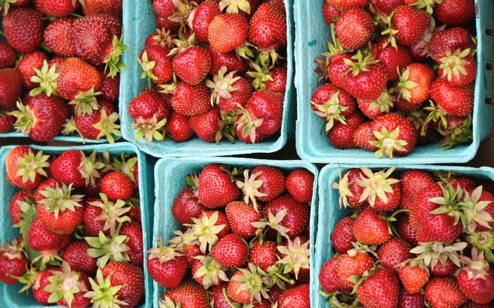 Strawberry Picking 101: Tips for a Fun Day Out