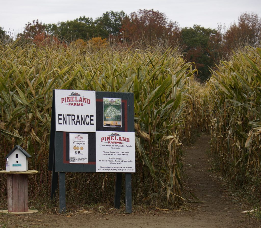 Pineland Farms corn maze entrance and rules