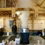 steam in the pineland farms sugar house
