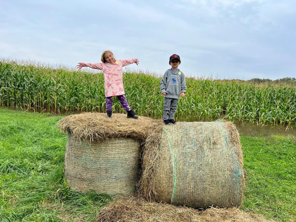 kids in the corn maze having fun