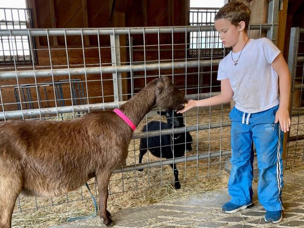 farmyard helper