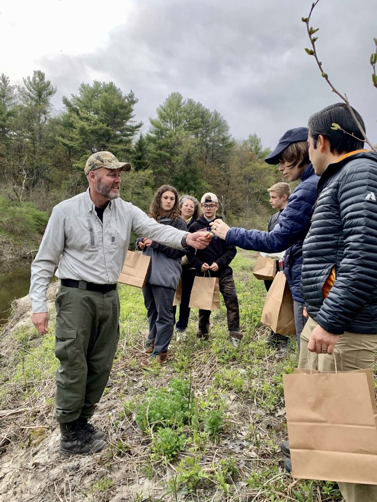 Fiddlehead Foraging in New Gloucester Maine
