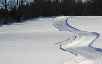 Winter Trail Etiquette &#038; Safety