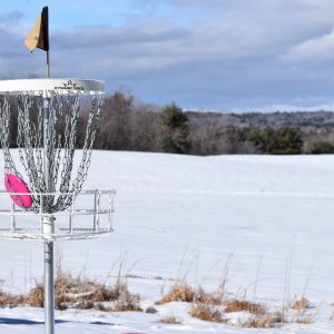 Disc in disc golf basket during winter.