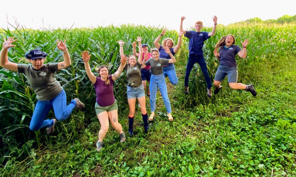 Pineland Farms staff in the corn maze