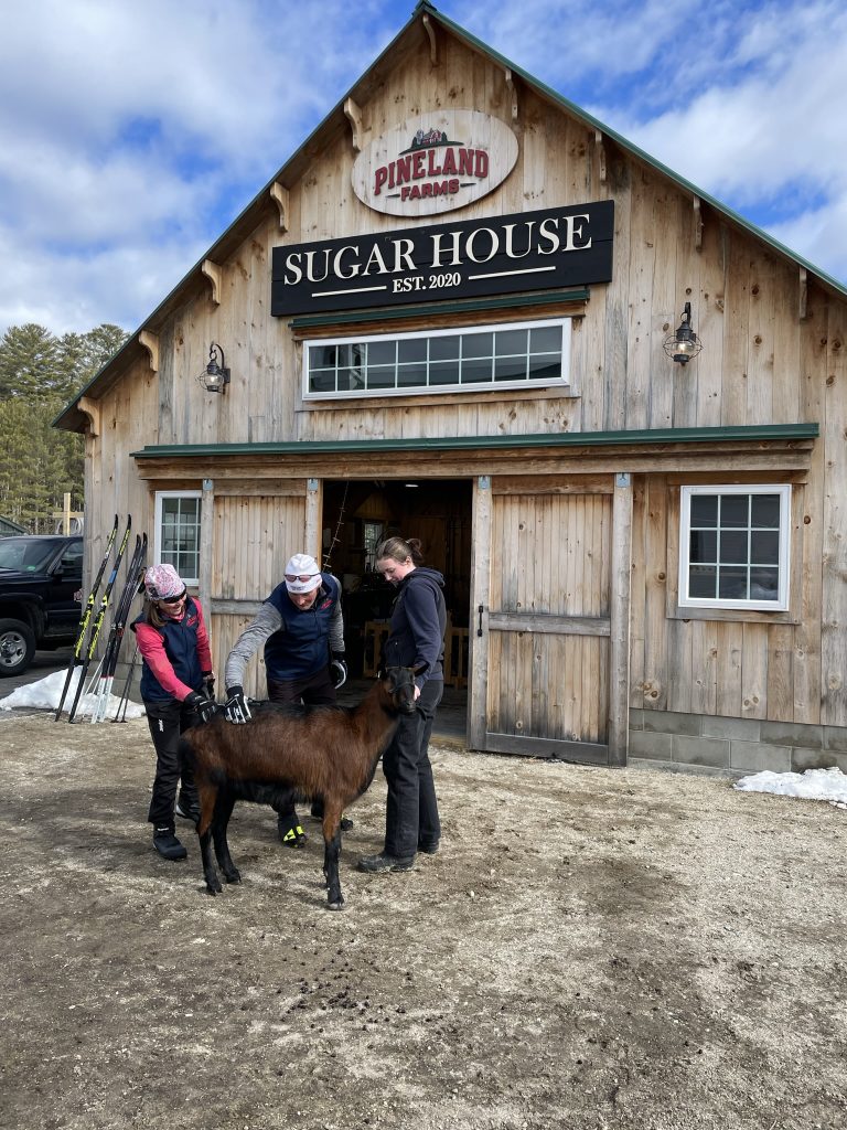 Sugar House Trail ski & visit a goat at Pineland Farms