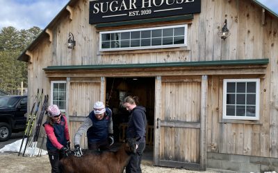 Cross-country ski to a Sugar House in Maine