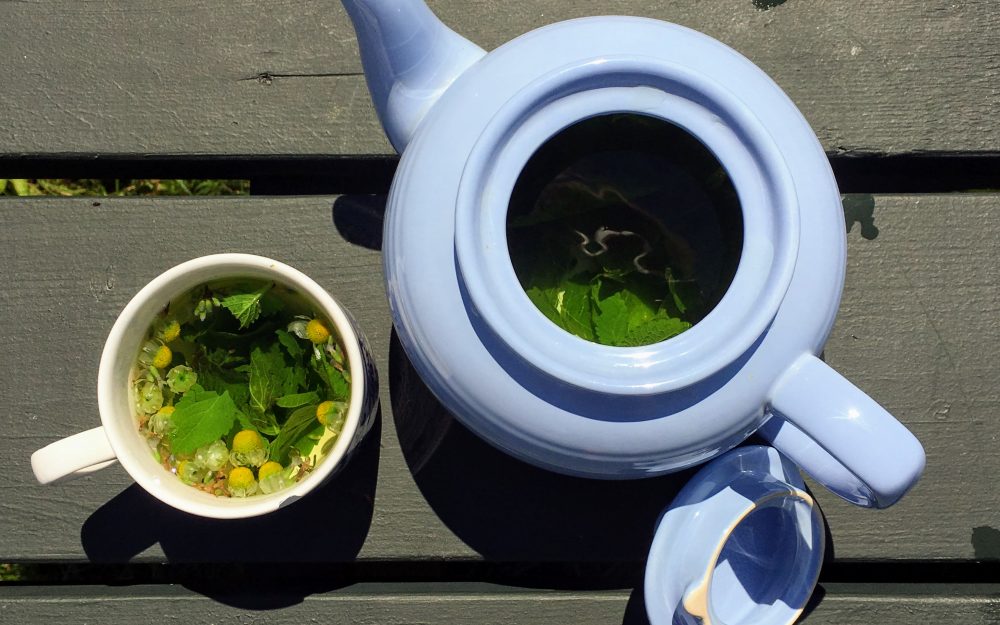 At Home Activity: Fresh Herbal Tea