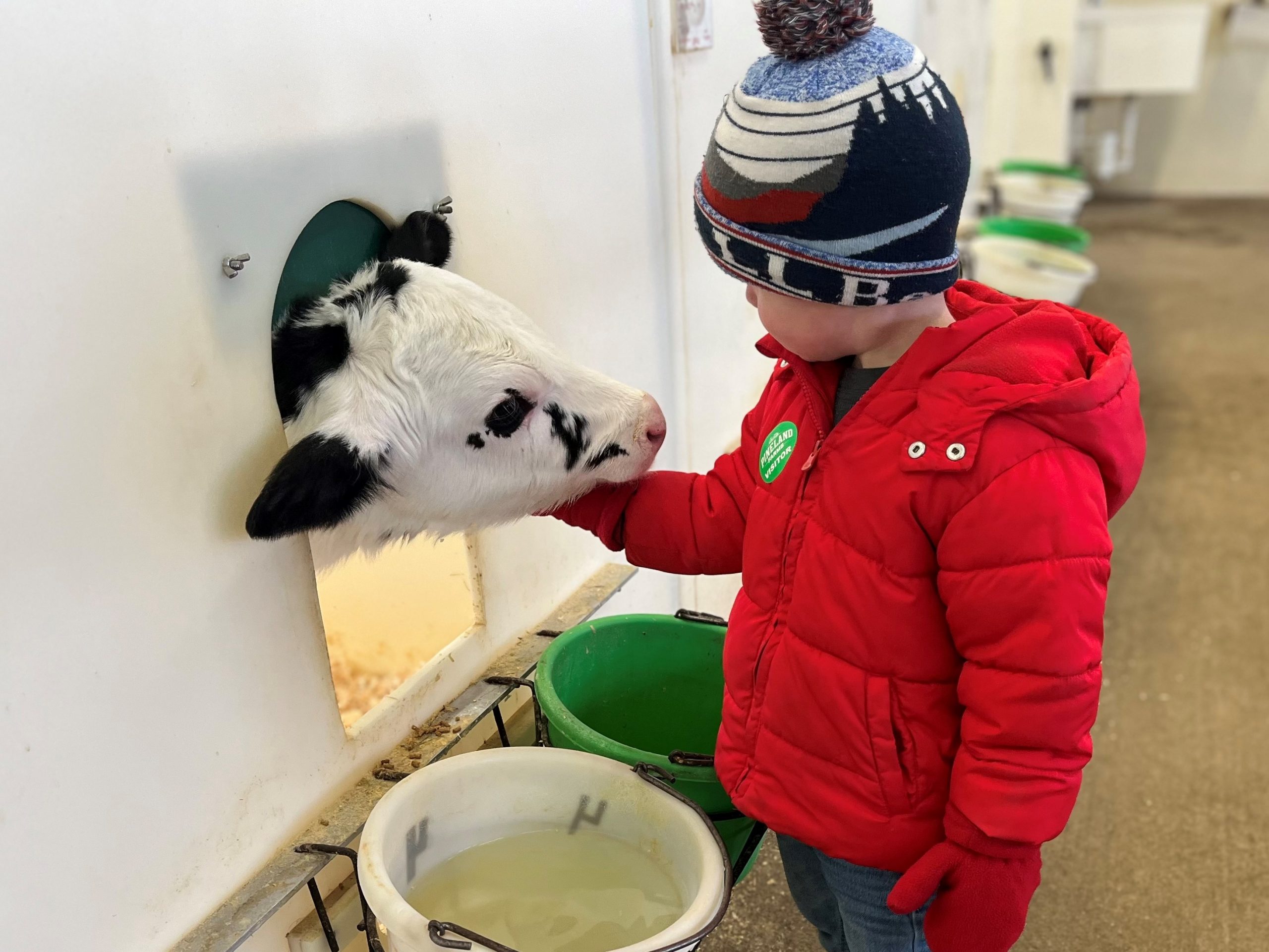 Winter Programs & Activities - Pineland Farms, Inc.