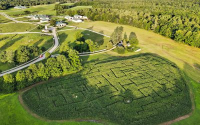 Corn Maze Opens Sept. 3, 2021