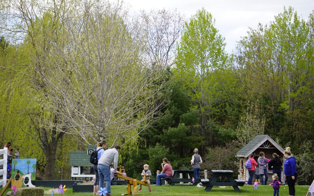 families at the family farmyard