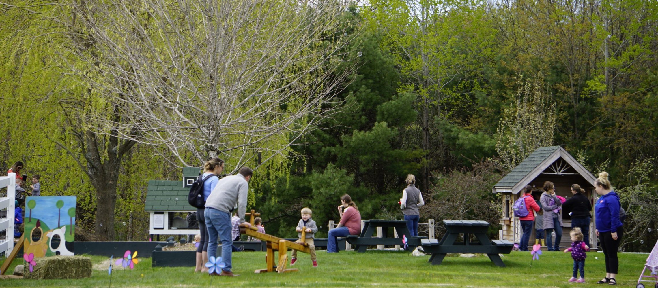 farmyard opening families at the family farmyard