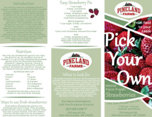 pick your own maine strawberries at the pineland farms produce division recipes and preserves.