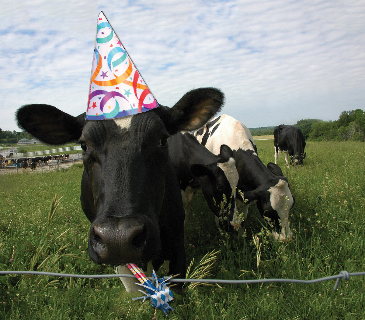 Birthday Parties at Pineland Farms!