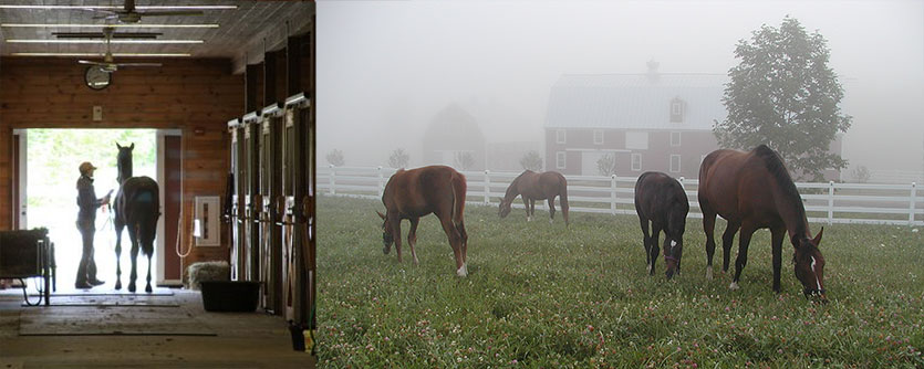 Hillside meadows equestrian center