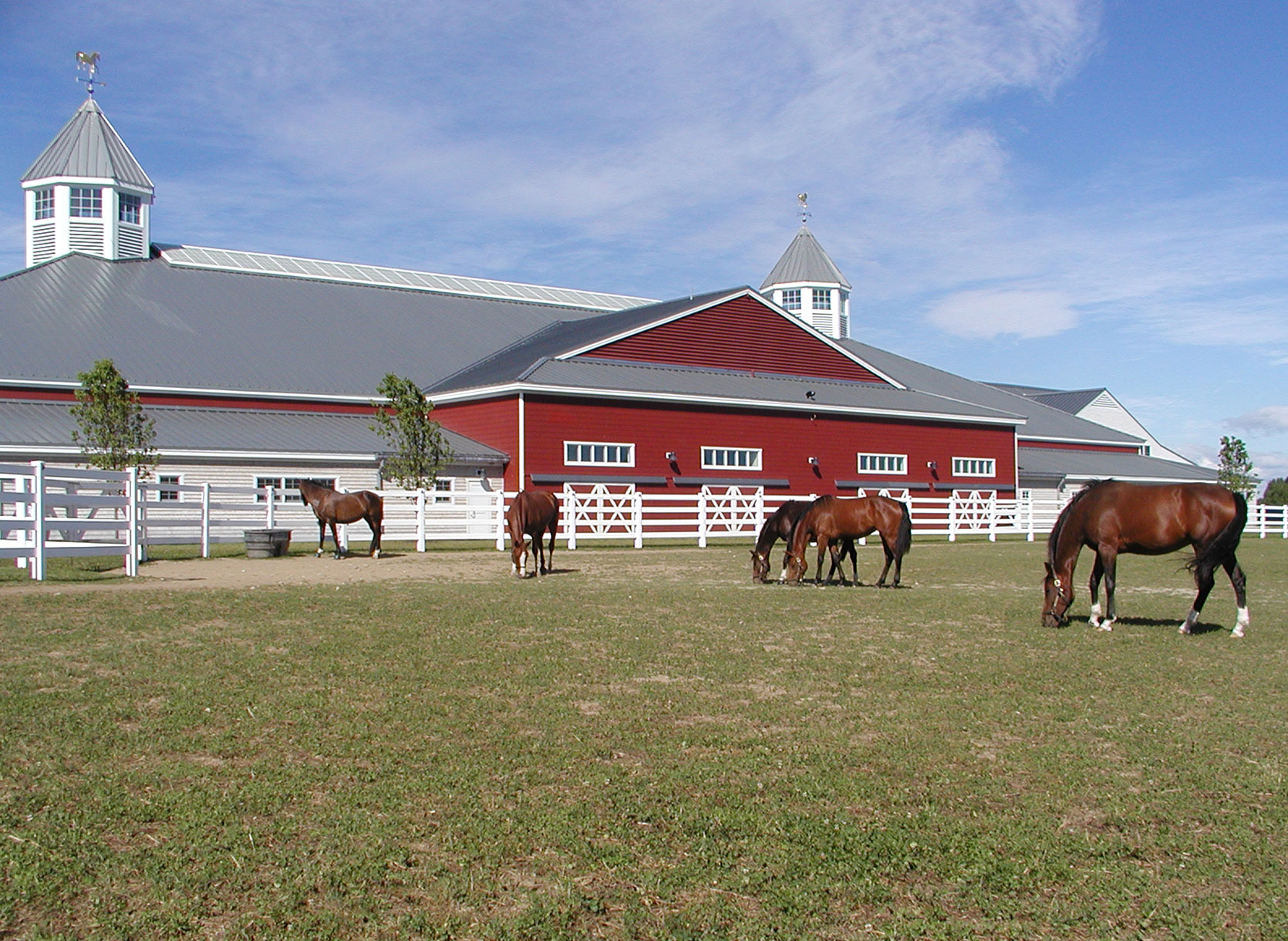 Horses and equestrian center