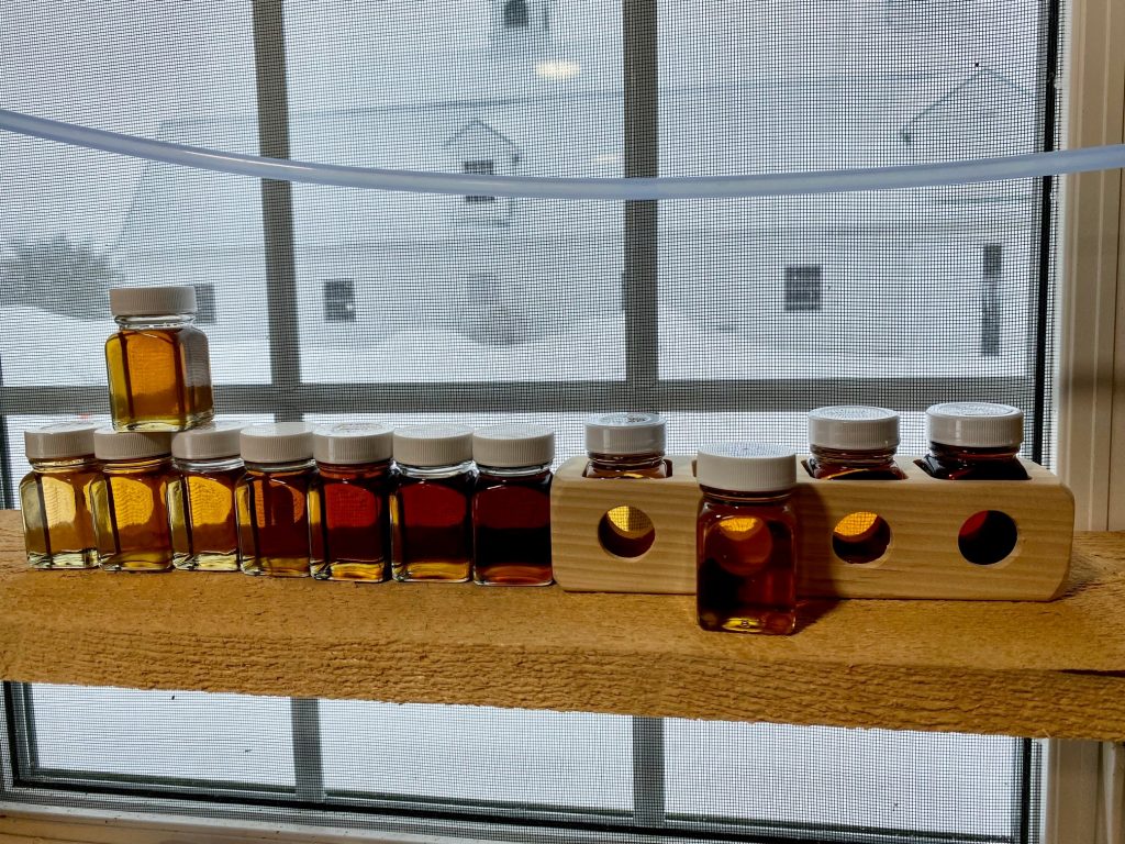 maple syrup grading at pineland farms