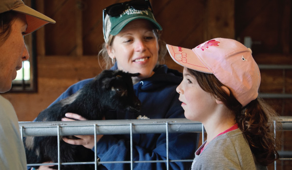 goats with girl on the farm