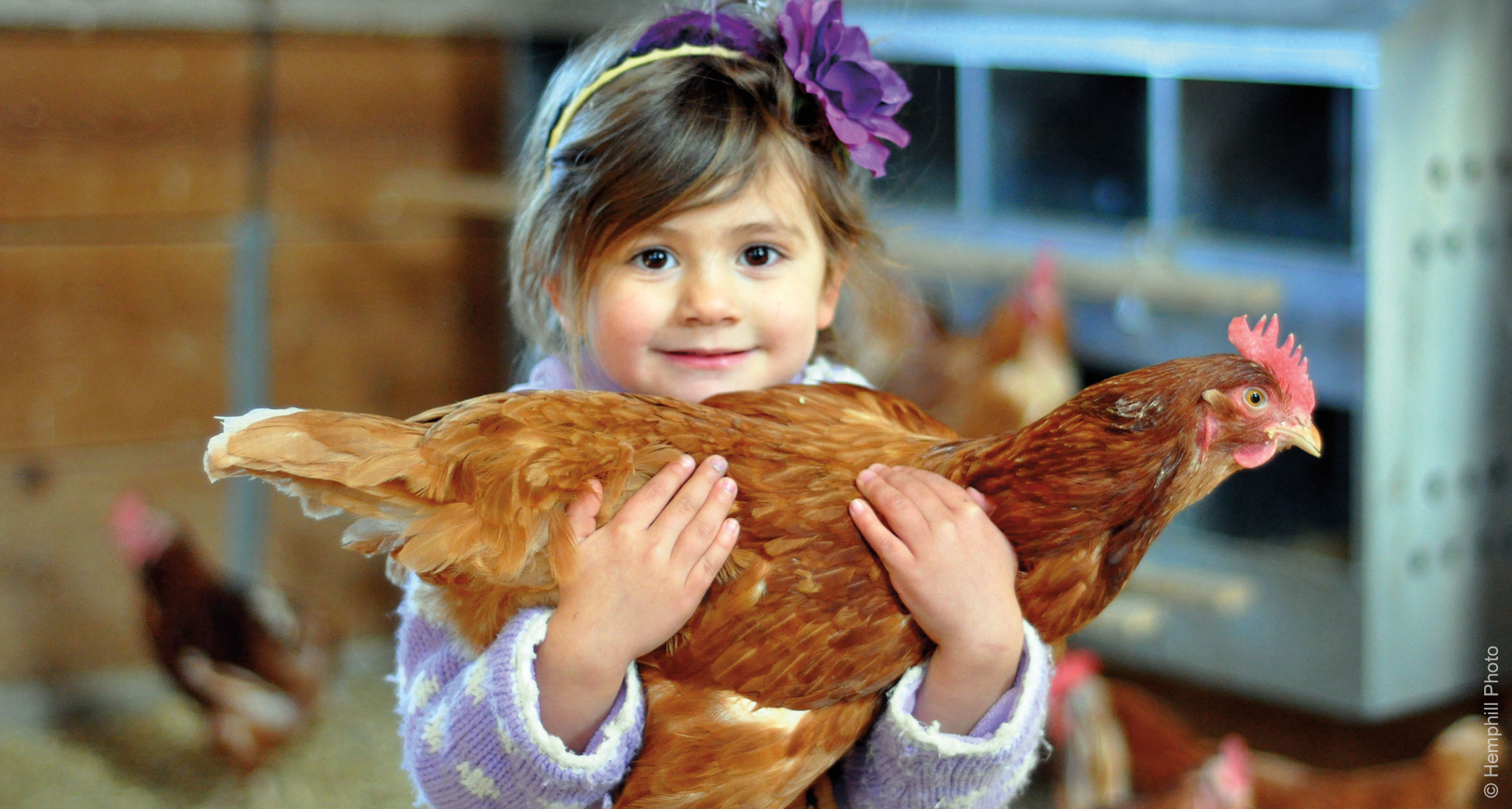 Kid with a chicken