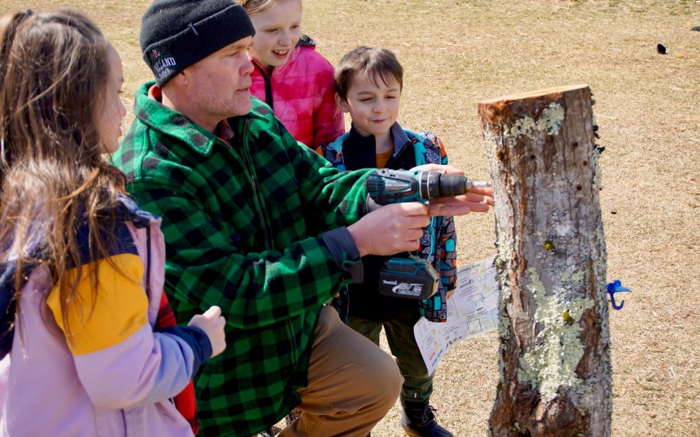 Kids tapping a tree during maple week at pineland farms