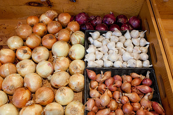 Pineland Farms Market: Fresh Produce