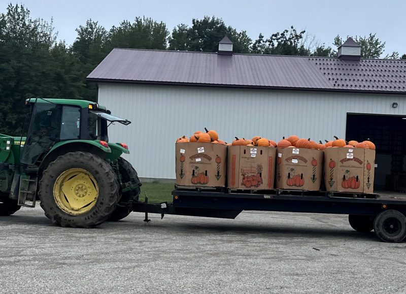 Pineland Farms pumpkins prepared for delivery trucks around the greater portland area.