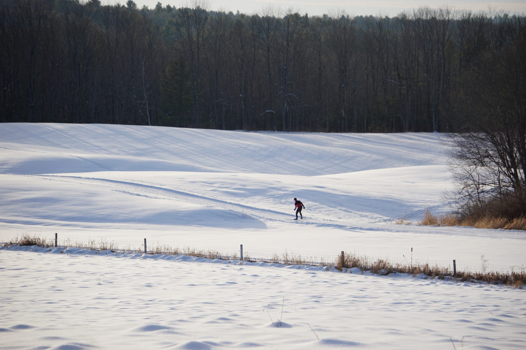 Skiing at Pineland Farms Do's and Dont's Pineland Farms, Inc.