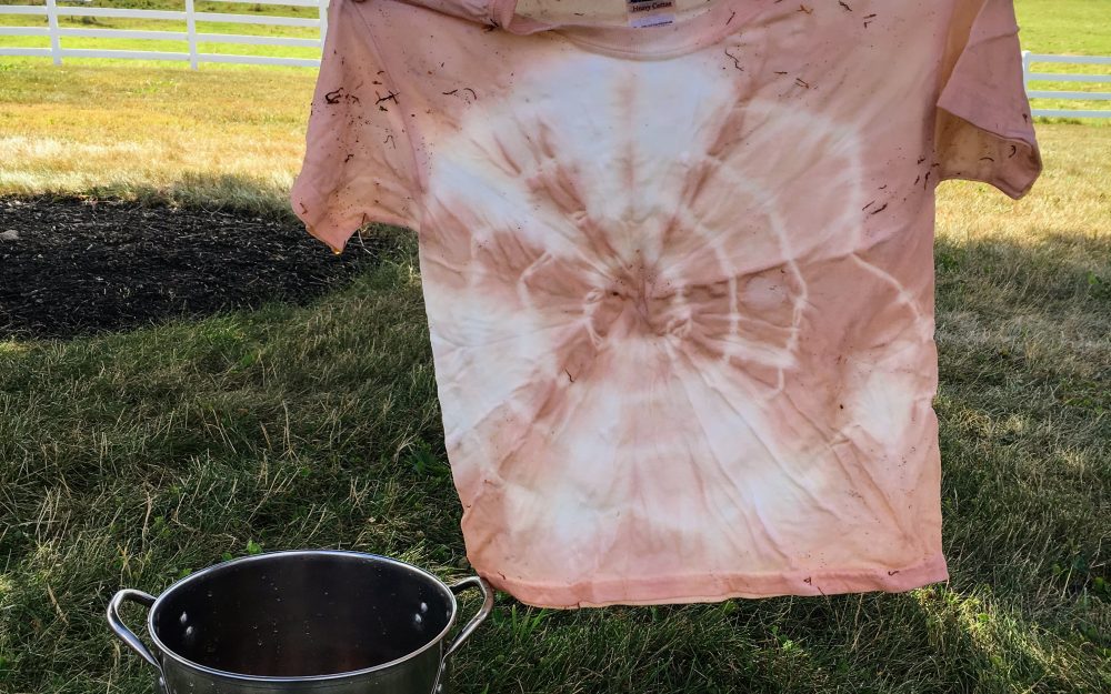 Natural Tie-Dye: At Home Activity