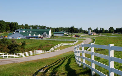 Valley Farm at Pineland Farms in New Gloucester, Maine