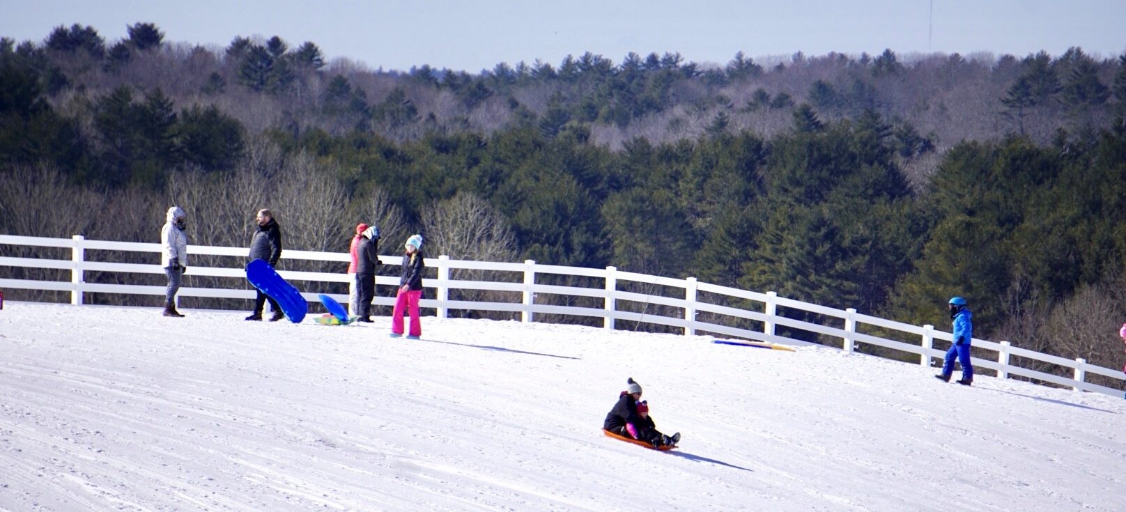 FREE Sledding - Pineland Farms, Inc.